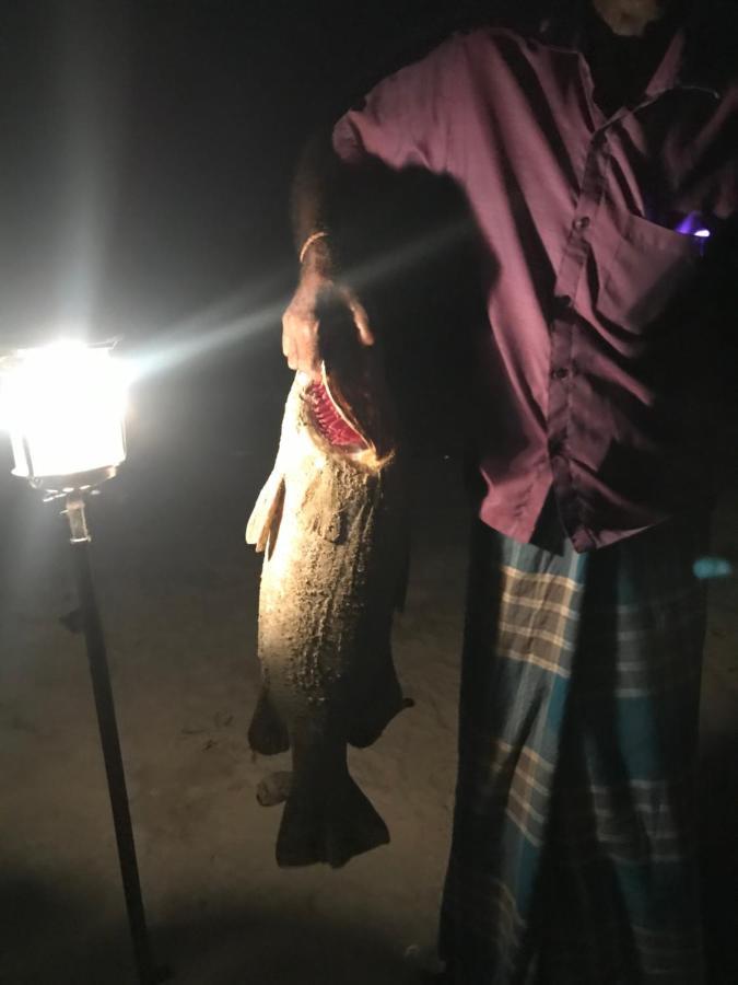 Reef Pasikudah Hotel Nachivantivu Luaran gambar