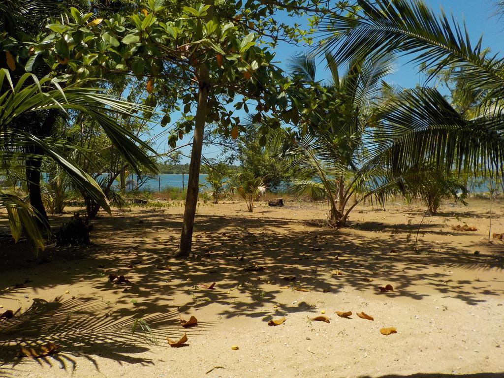 Reef Pasikudah Hotel Nachivantivu Luaran gambar