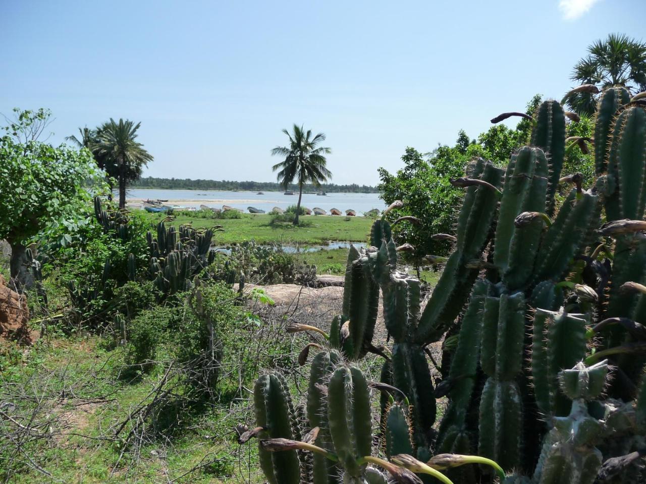 Reef Pasikudah Hotel Nachivantivu Luaran gambar